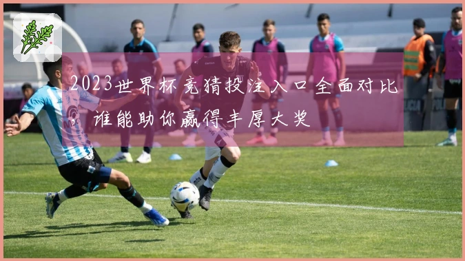 2023世界杯竞猜投注入口全面对比，谁能助你赢得丰厚大奖