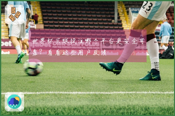 世界杯买球投注哪个平台更安全可靠？看看这些用户反馈