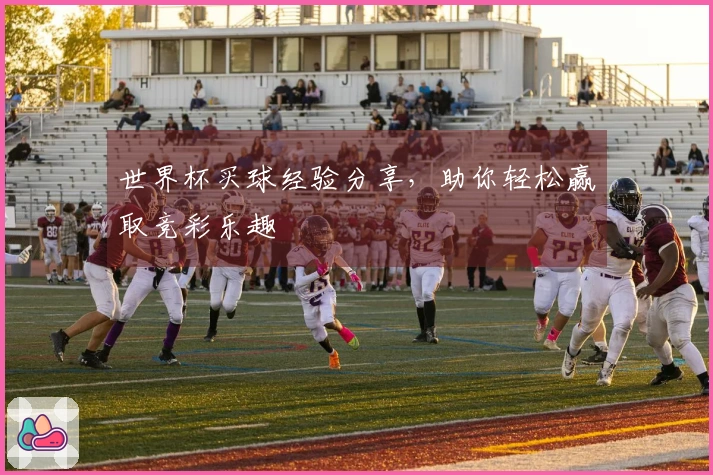 世界杯买球经验分享，助你轻松赢取竞彩乐趣