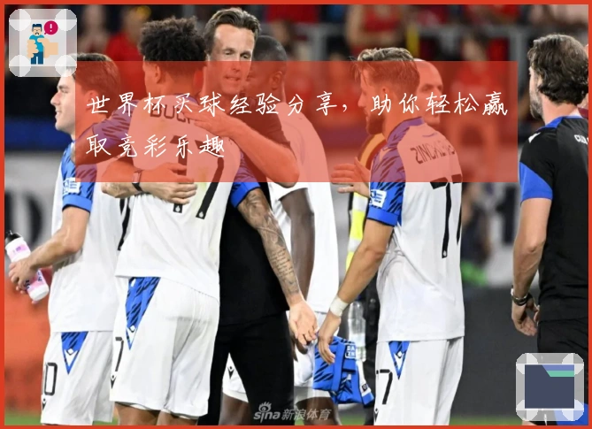 世界杯买球经验分享，助你轻松赢取竞彩乐趣