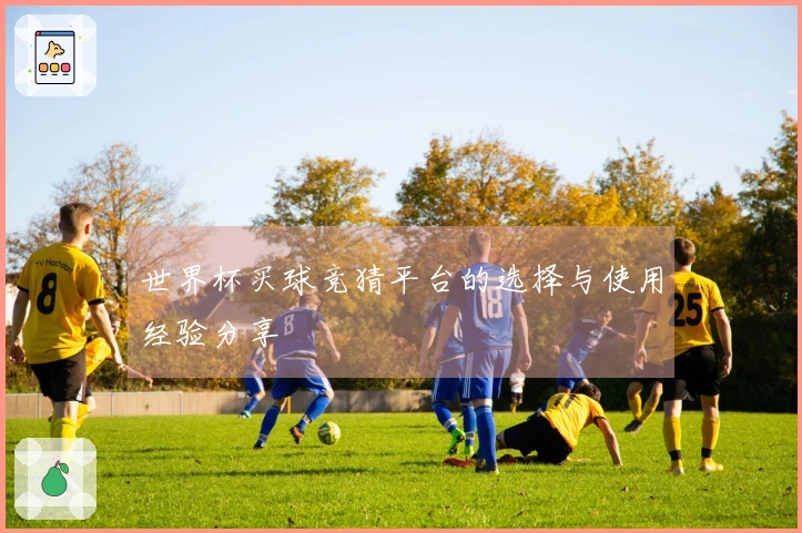 世界杯买球竞猜平台的选择与使用经验分享
