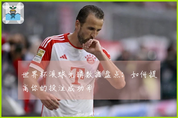 世界杯滚球竞猜数据盘点：如何提高你的投注成功率