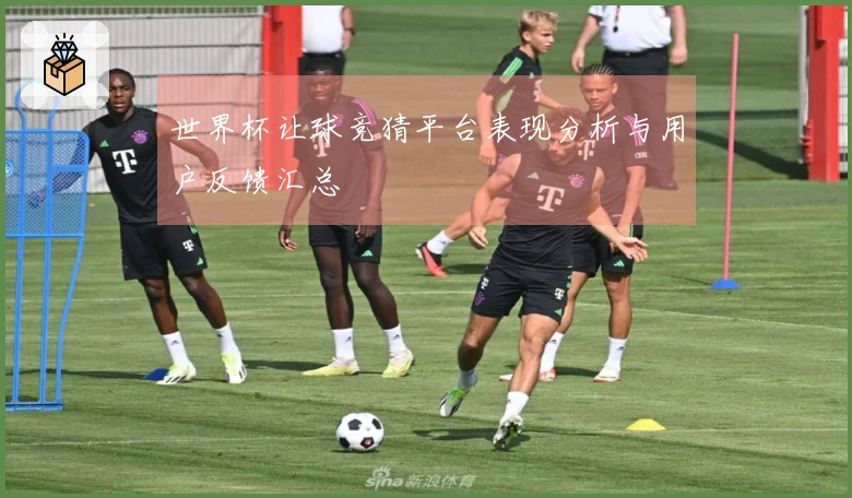 世界杯让球竞猜平台表现分析与用户反馈汇总