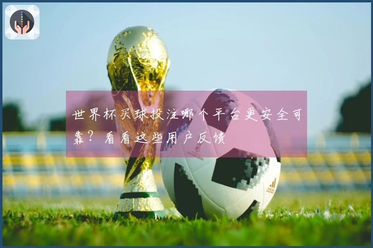 世界杯买球投注哪个平台更安全可靠？看看这些用户反馈
