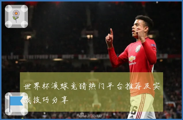 世界杯滚球竞猜热门平台推荐及实战技巧分享