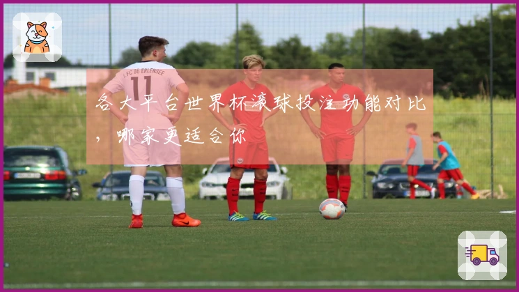 各大平台世界杯滚球投注功能对比，哪家更适合你