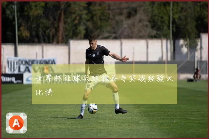 世界杯让球买球推荐与实战经验大比拼