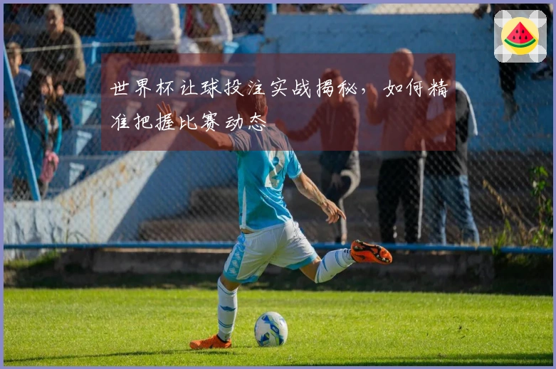 世界杯让球投注实战揭秘，如何精准把握比赛动态