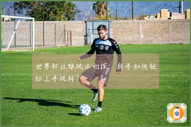 世界杯让球玩法初探：新手如何轻松上手玩转？