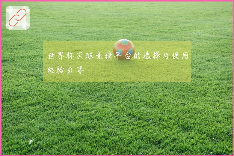 世界杯买球竞猜平台的选择与使用经验分享