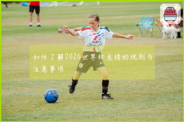 如何了解2026世界杯竞猜的规则与注意事项